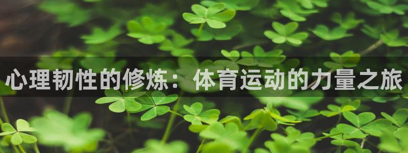 球客岛