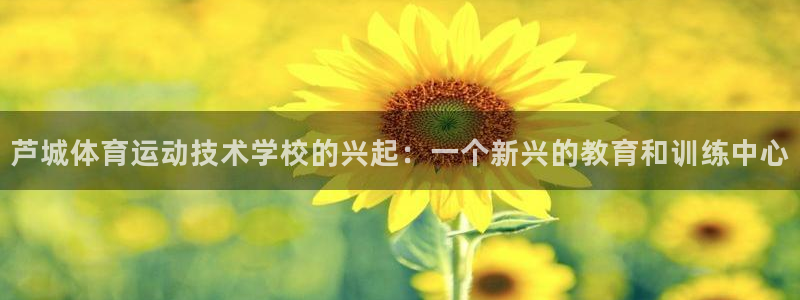 球客岛