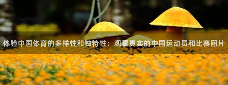 球客岛