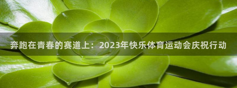 球客岛