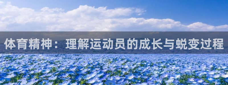 球客岛